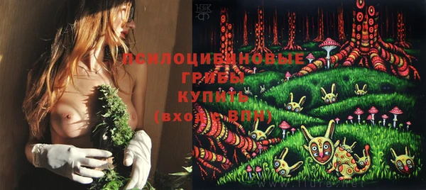 спиды Абинск